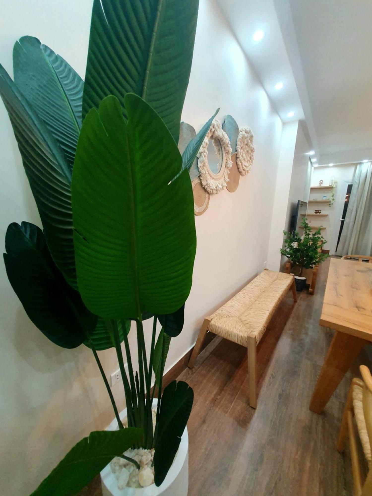 Apartment Artistic-boho 3br In New Lotus By Kemetland